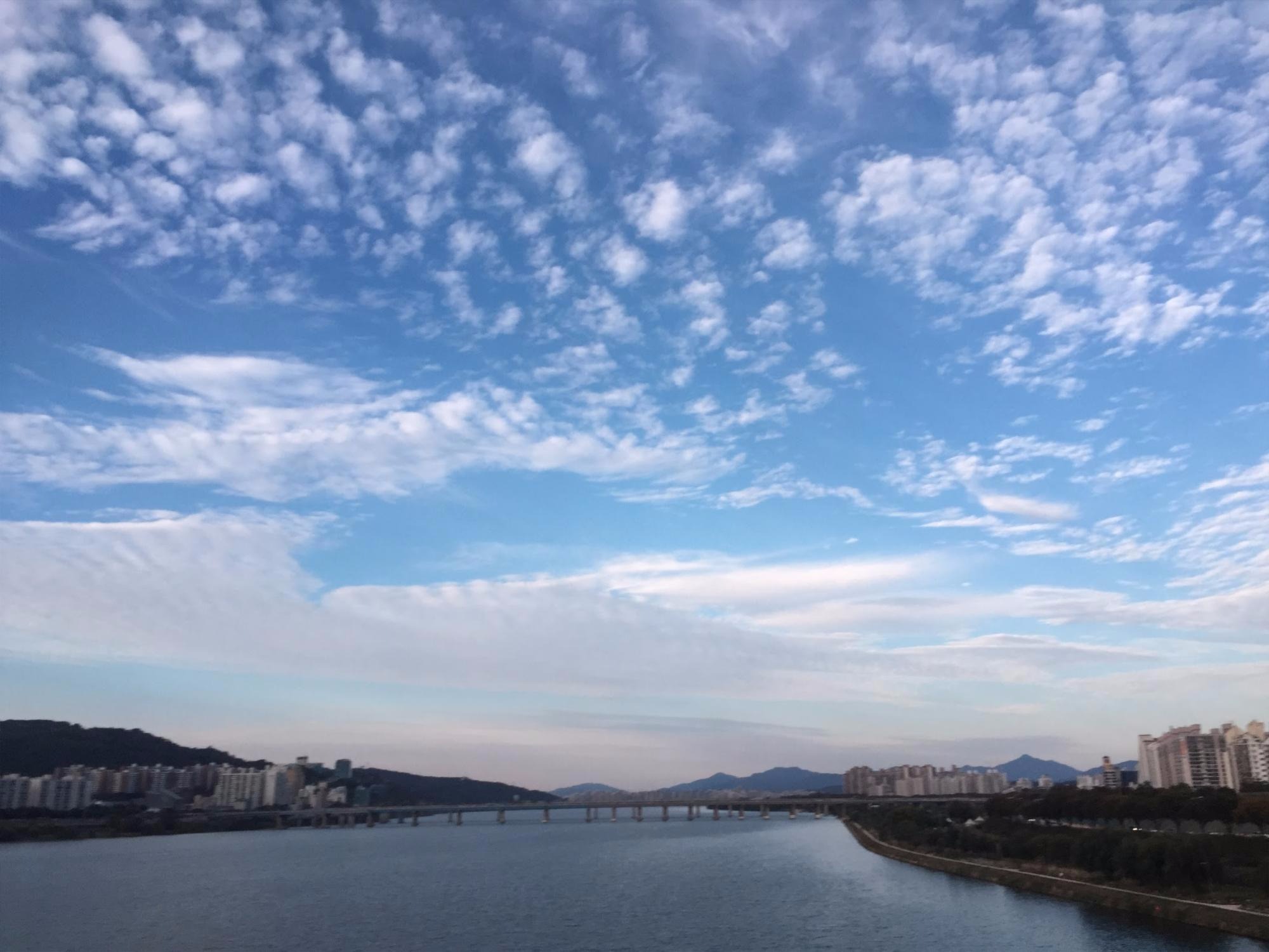 프로필사진