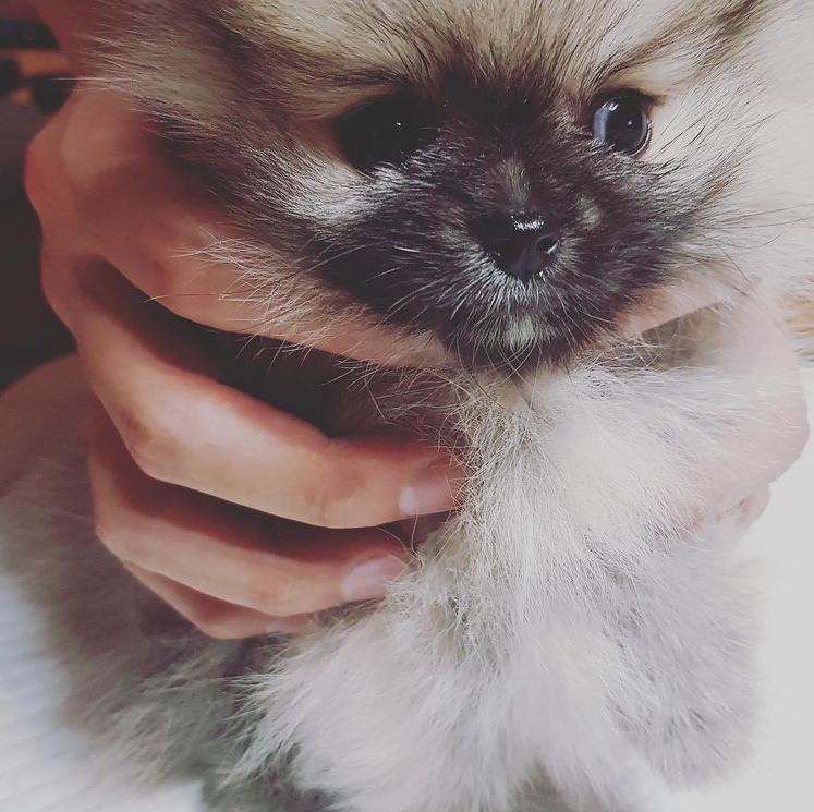 프로필사진
