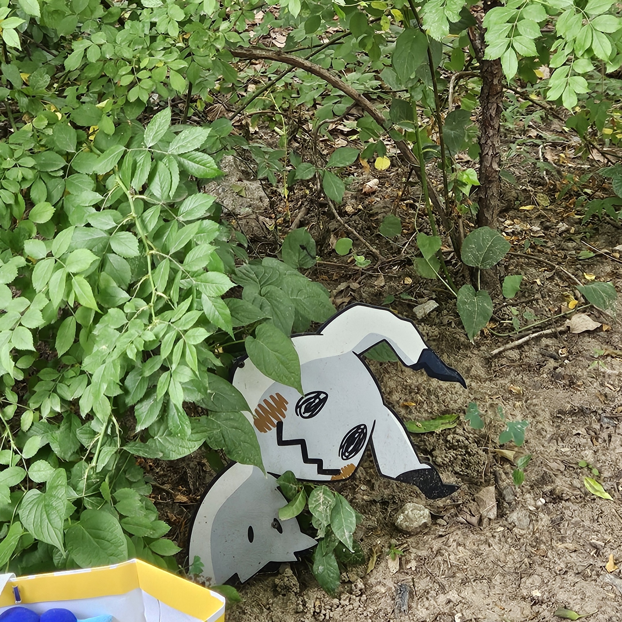 프로필사진