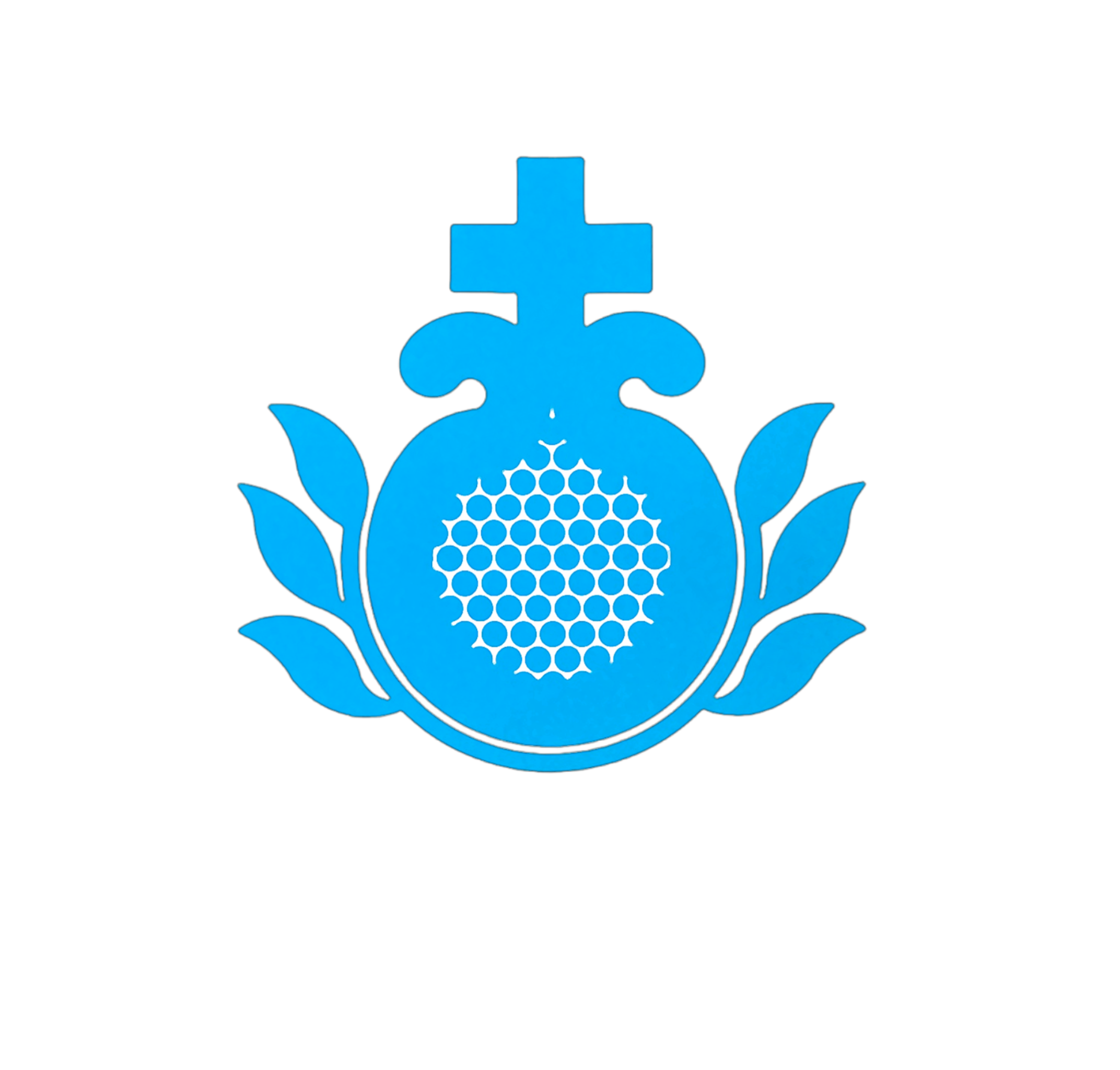요하니 수사의 봄빛사랑