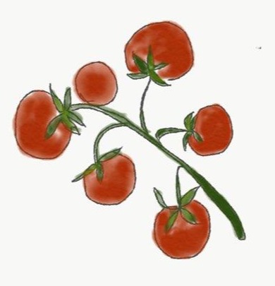 블로그 이미지