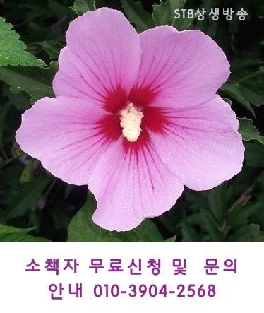 블로그 이미지