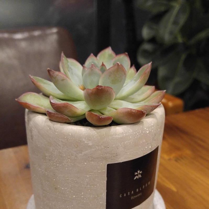 프로필사진