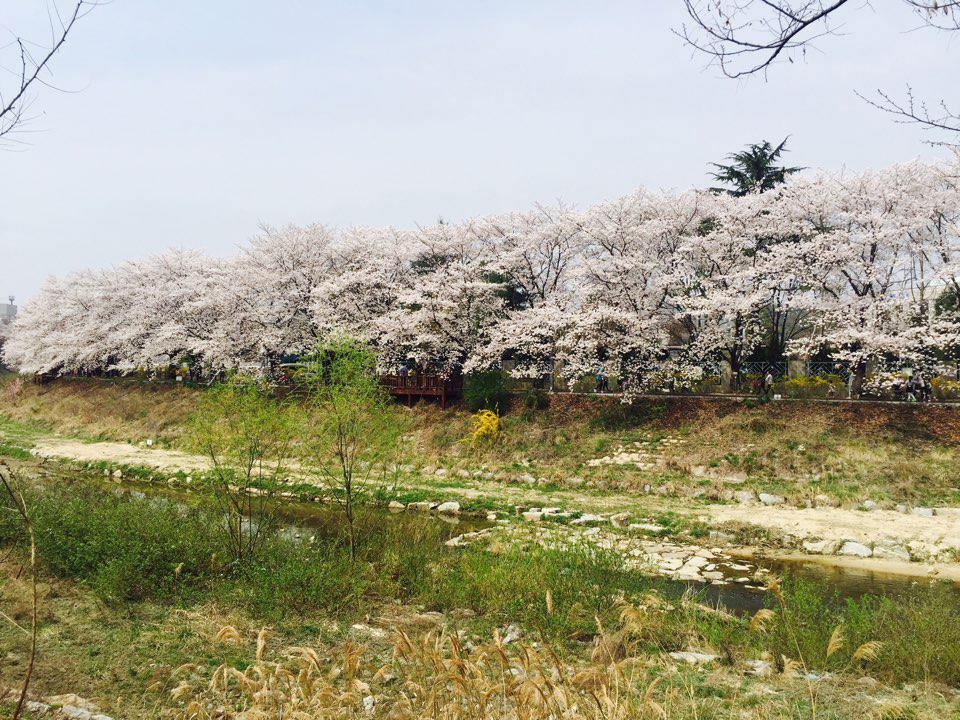 블로그 이미지