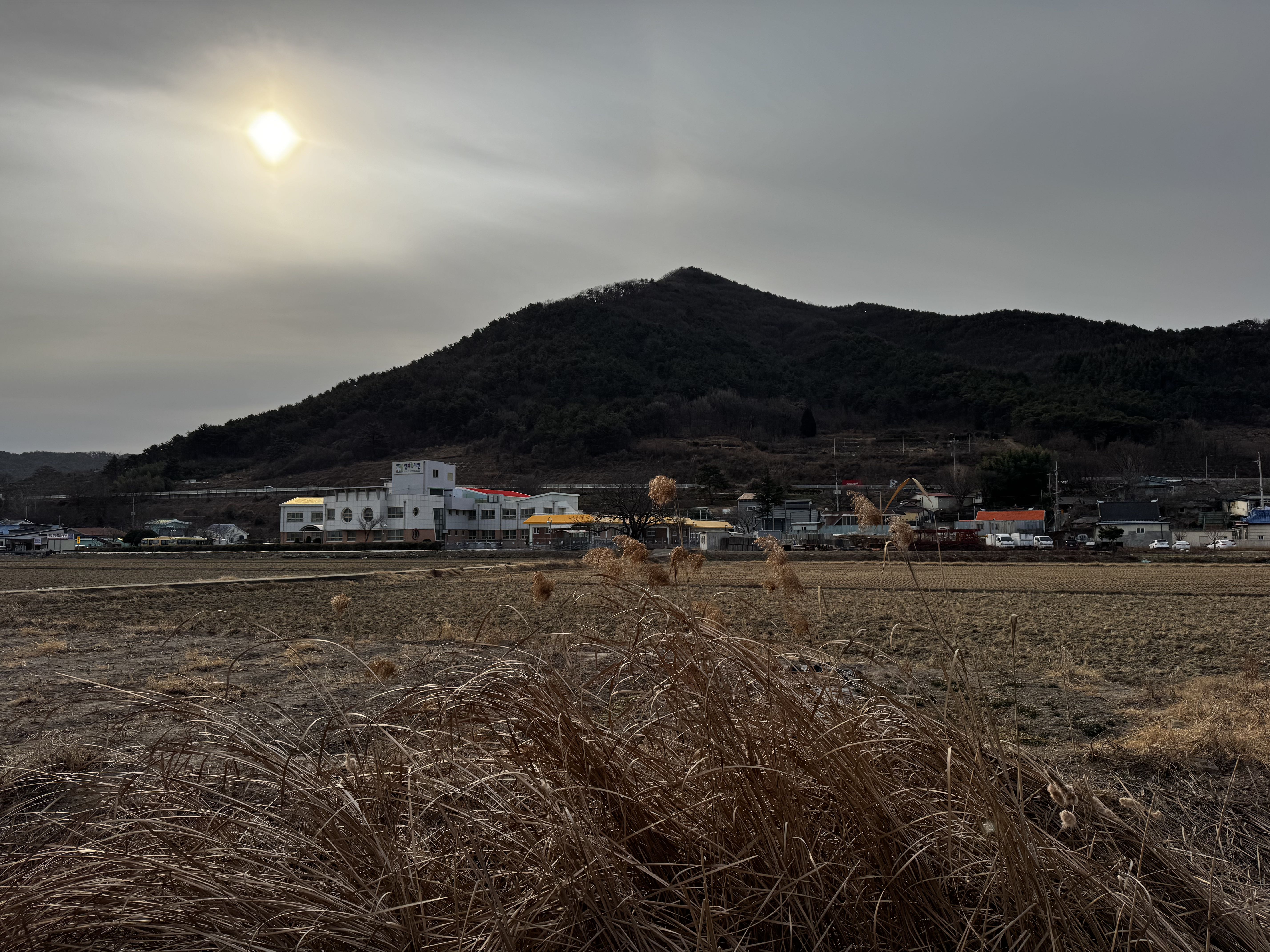 프로필사진