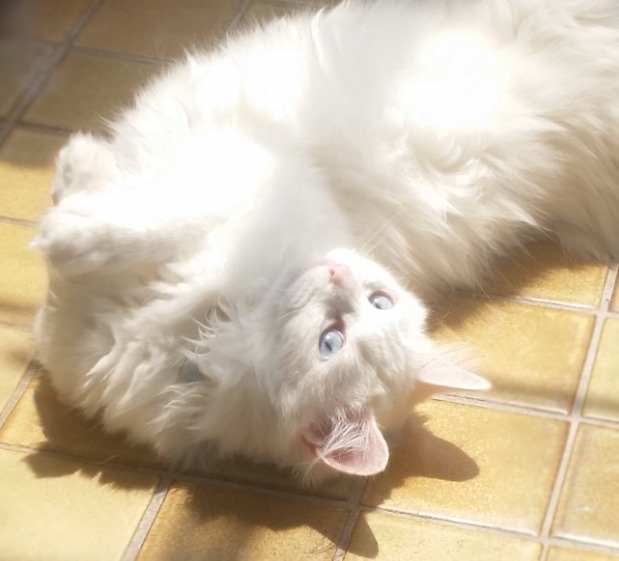 블로그 이미지