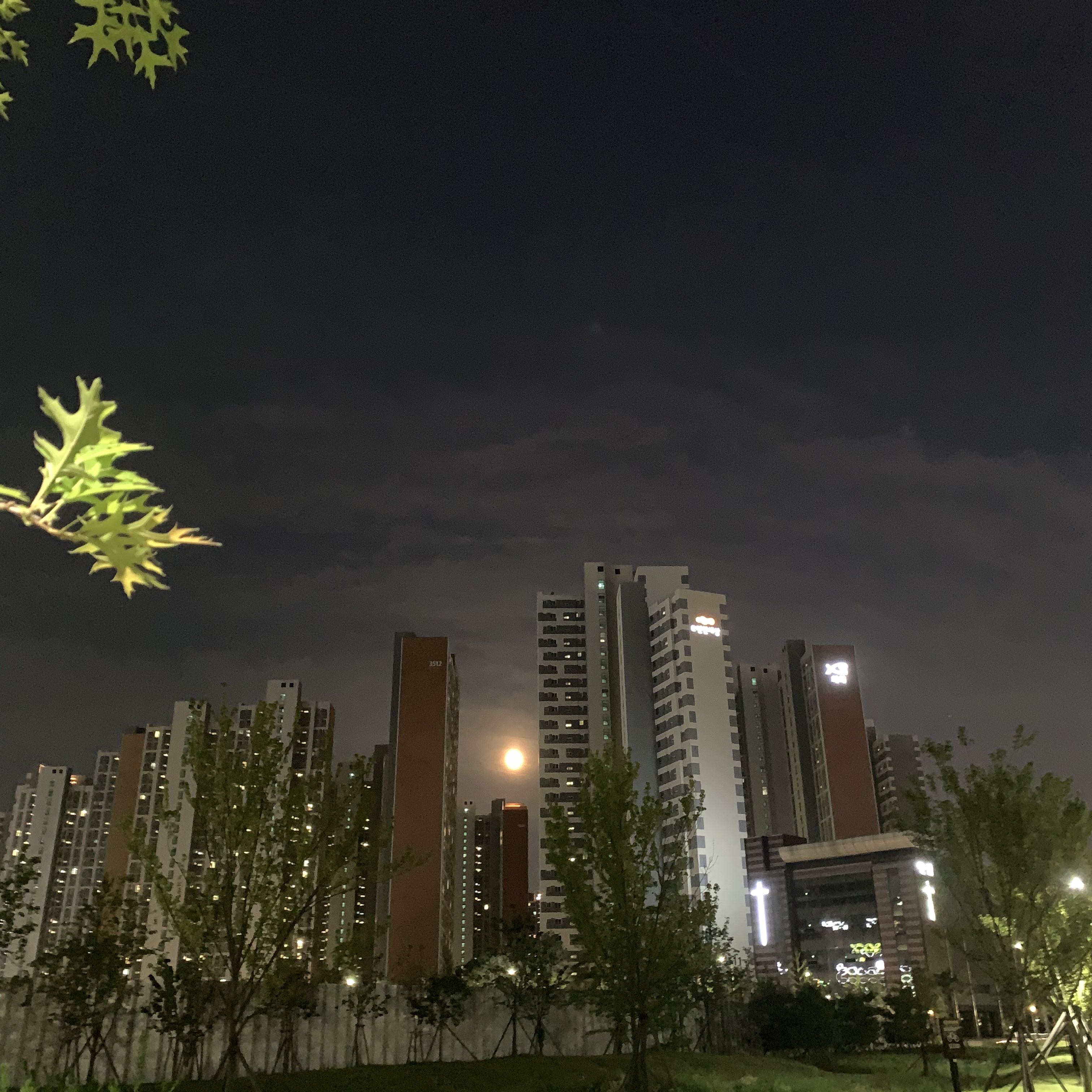 블로그 이미지