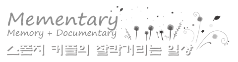 스폰지 커플의 찰칵거리는 일상