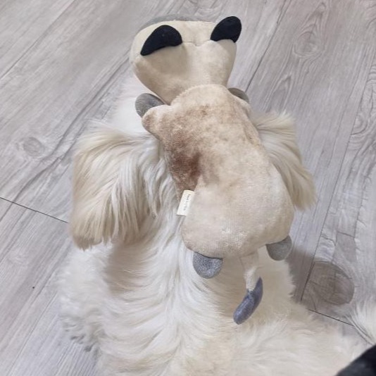 프로필사진