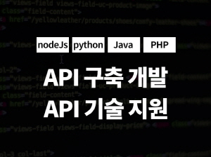 API 구축 및 개발/API 기술지원