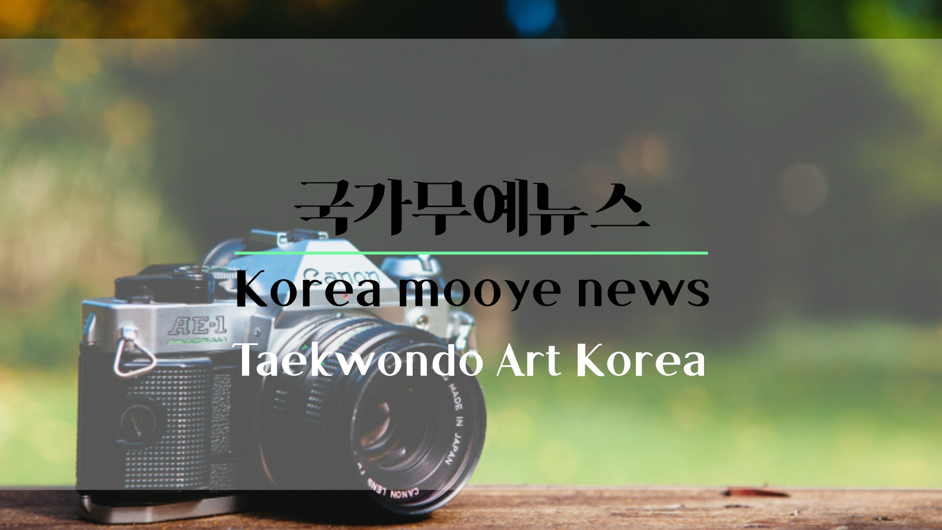 프로필사진