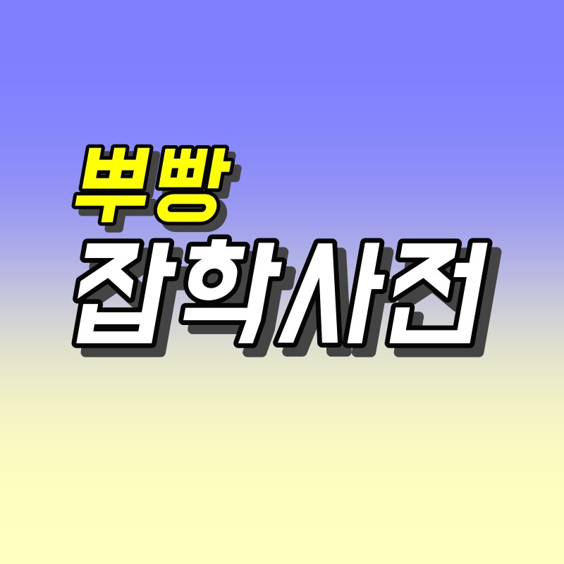 프로필사진