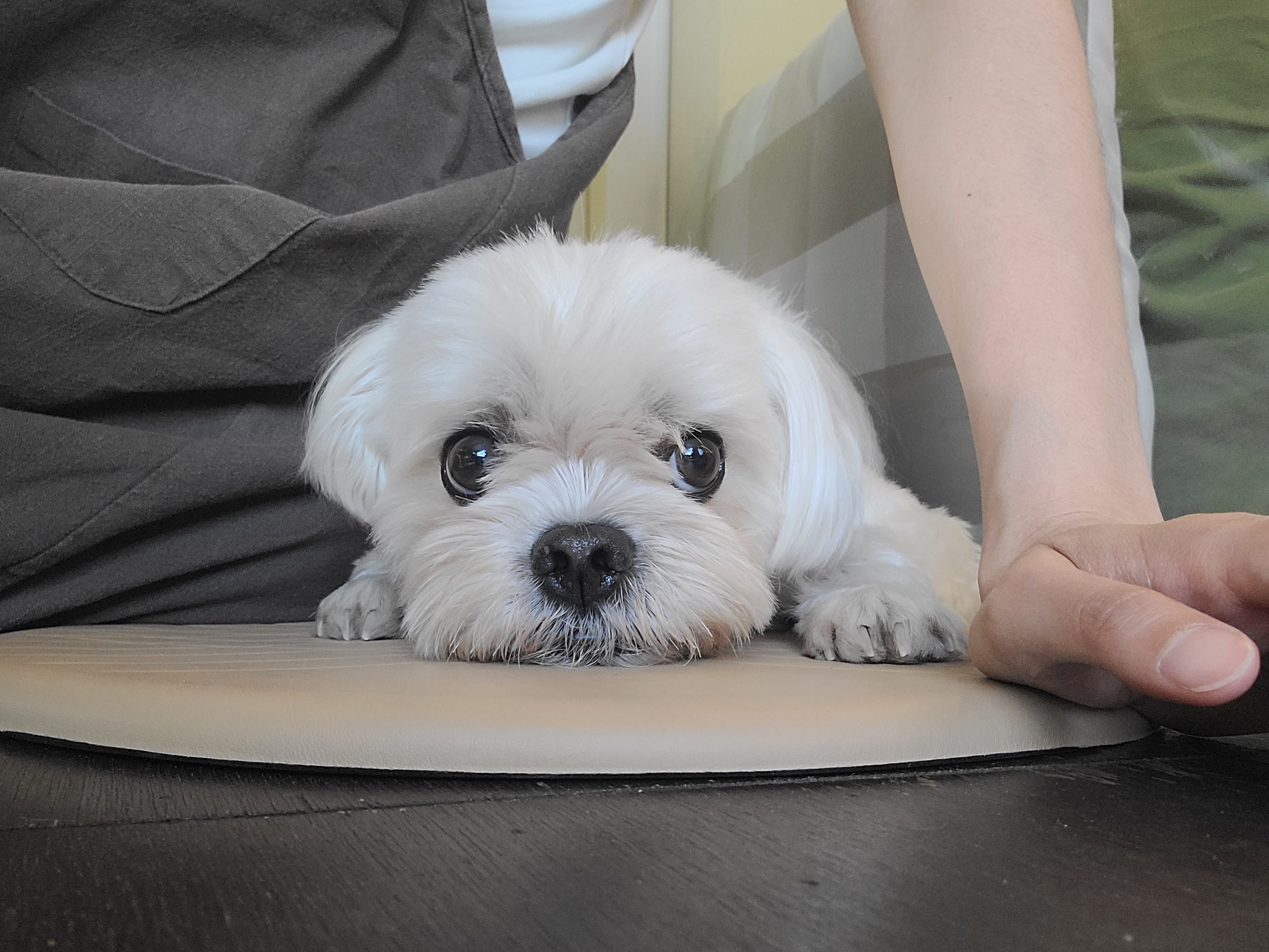 프로필사진