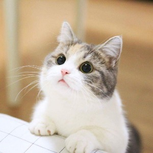 프로필사진