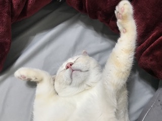 프로필사진