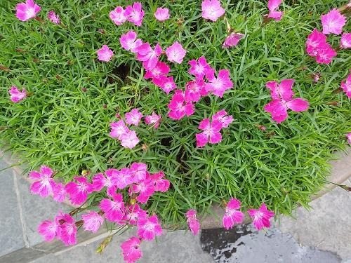 블로그 이미지