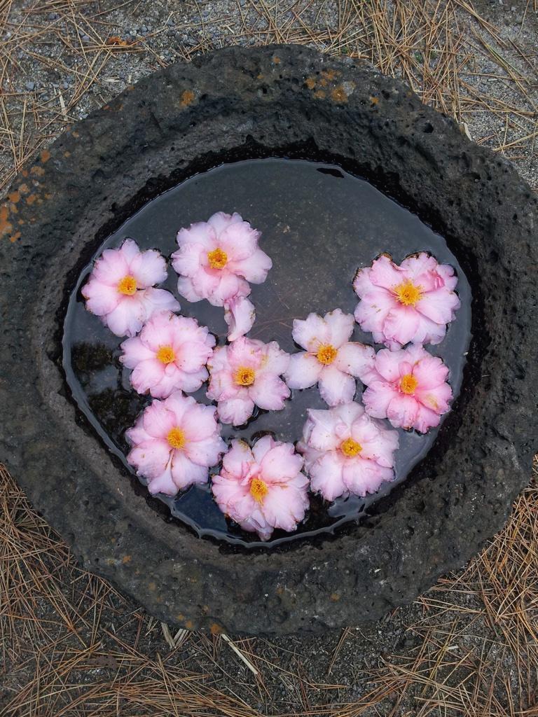 프로필사진