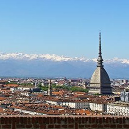 Tistory profile picture for @torino