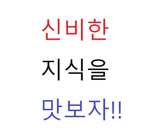 블로그 이미지