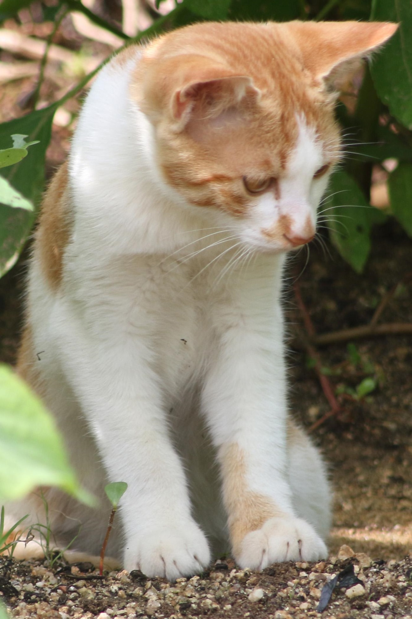 블로그 이미지