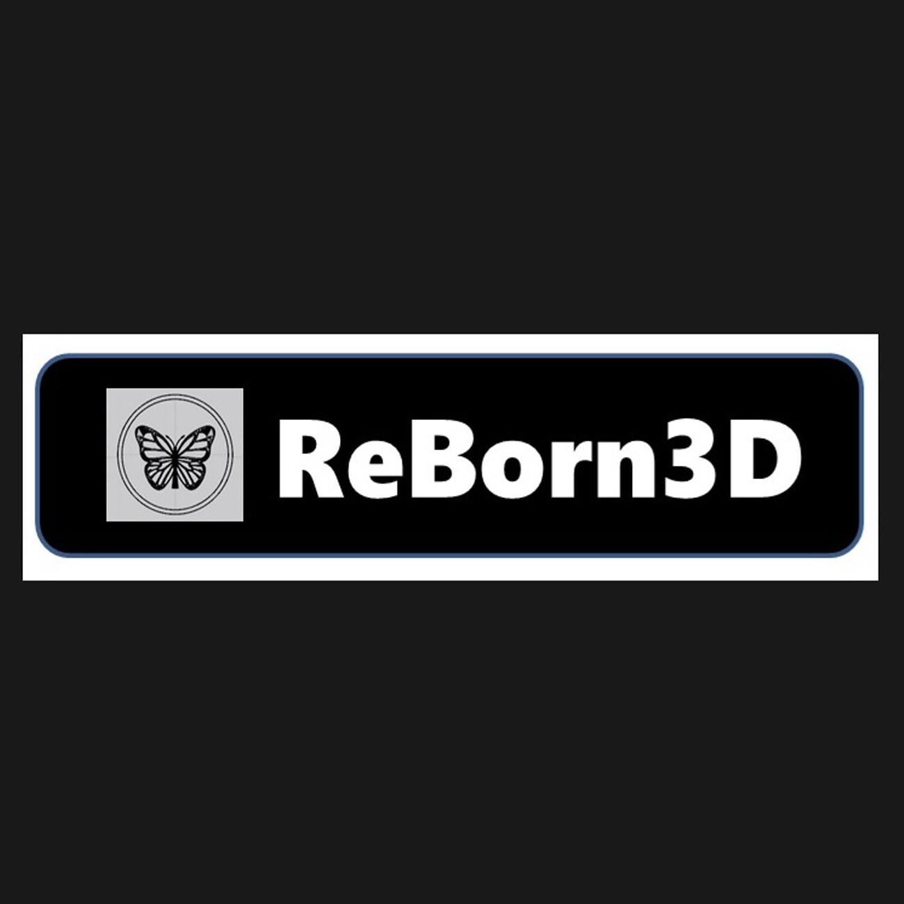리본3D_Reborn3D