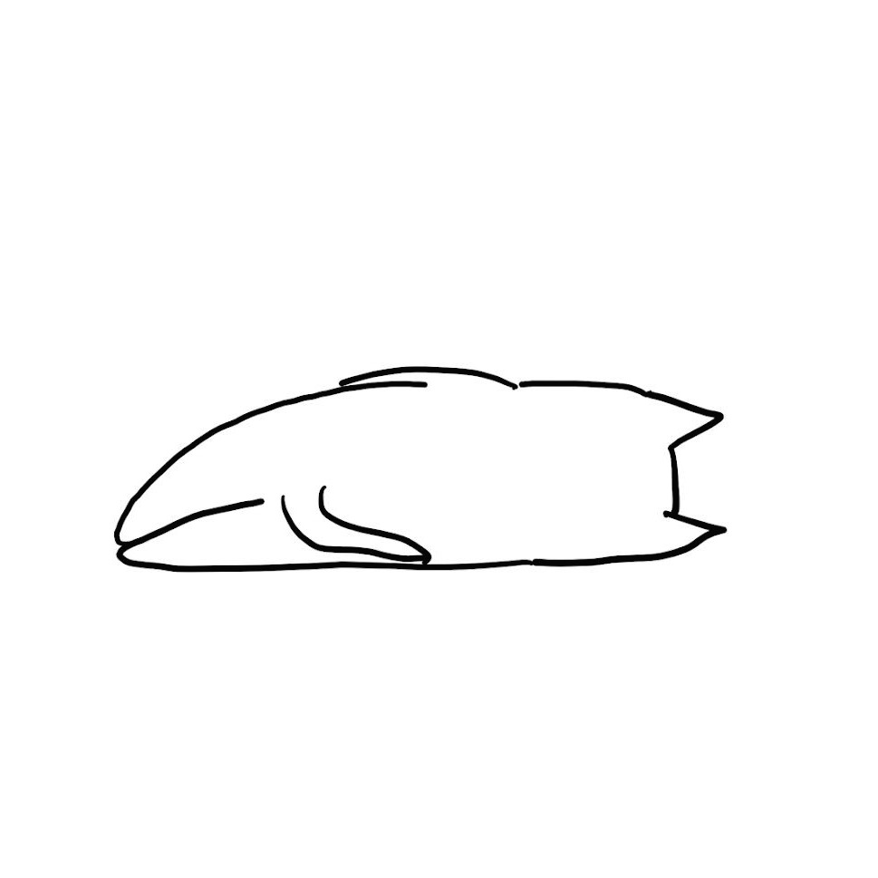 Tistory profile picture for @sadness