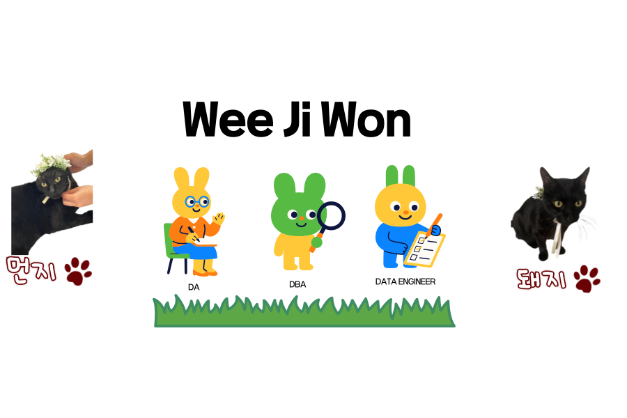 위지원의 데이터 일기 🐈