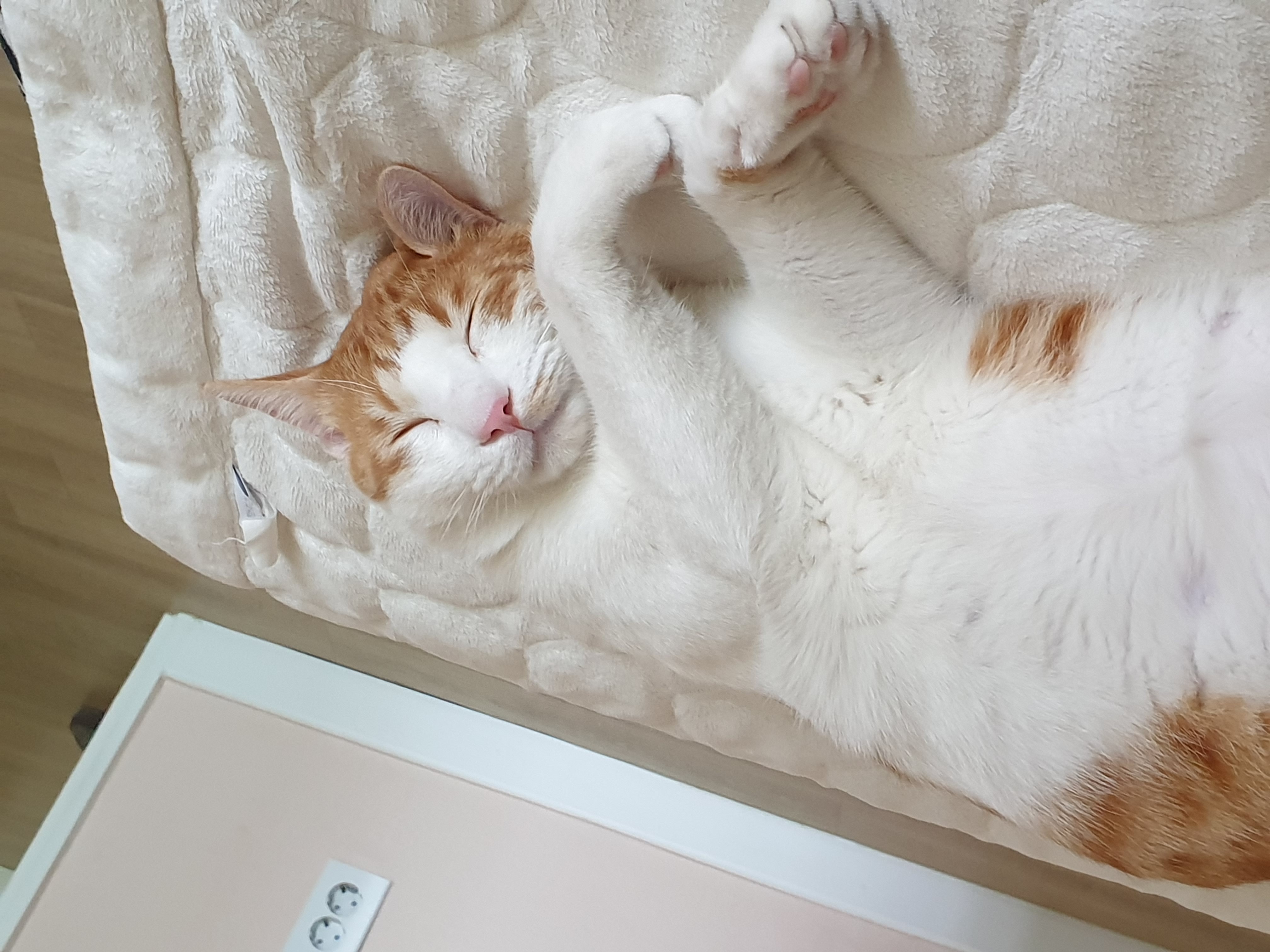 프로필사진