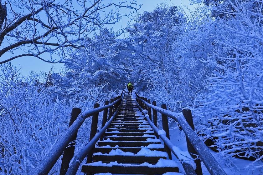 프로필사진