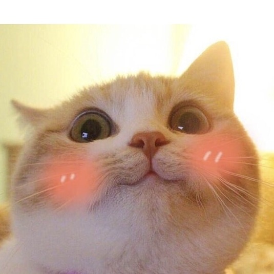 프로필사진