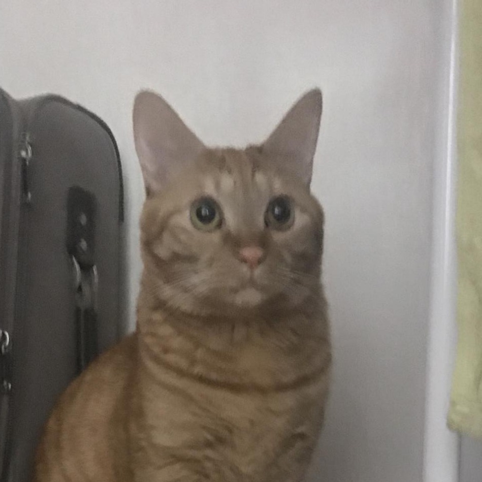 프로필사진