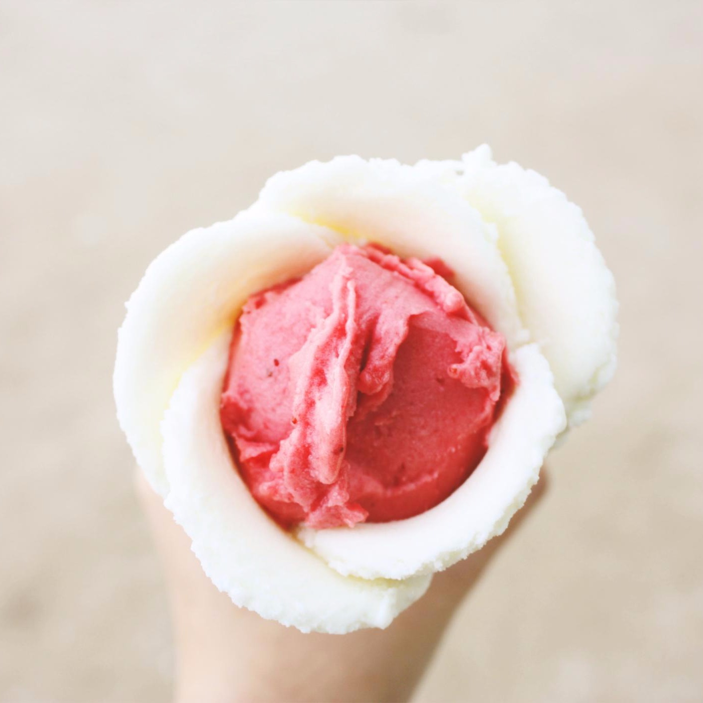 프로필사진