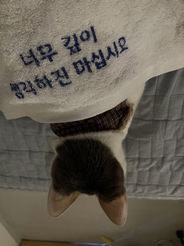 프로필사진