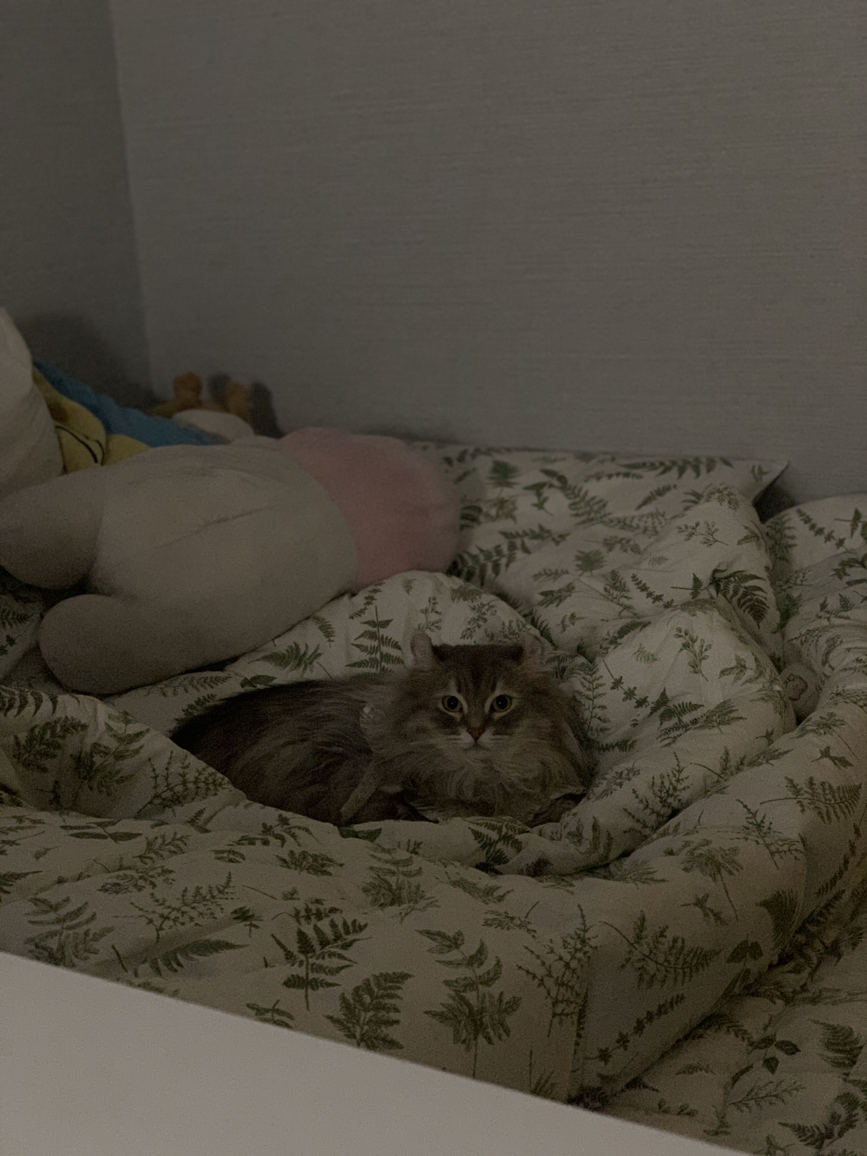 블로그 이미지
