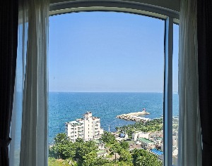 프로필사진