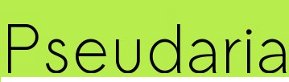 Pseudaria의 사소함