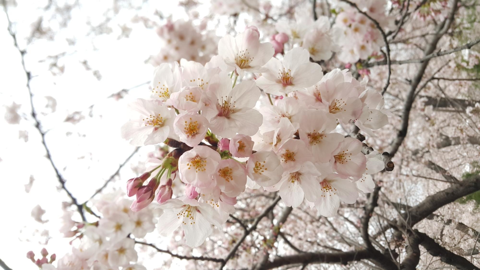 프로필사진