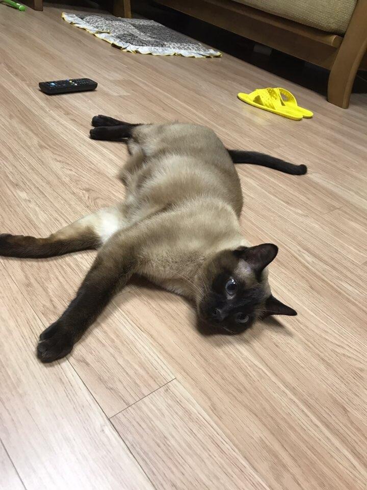 블로그 이미지