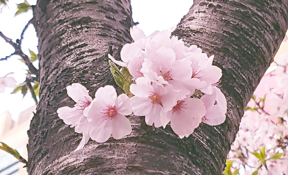 프로필사진