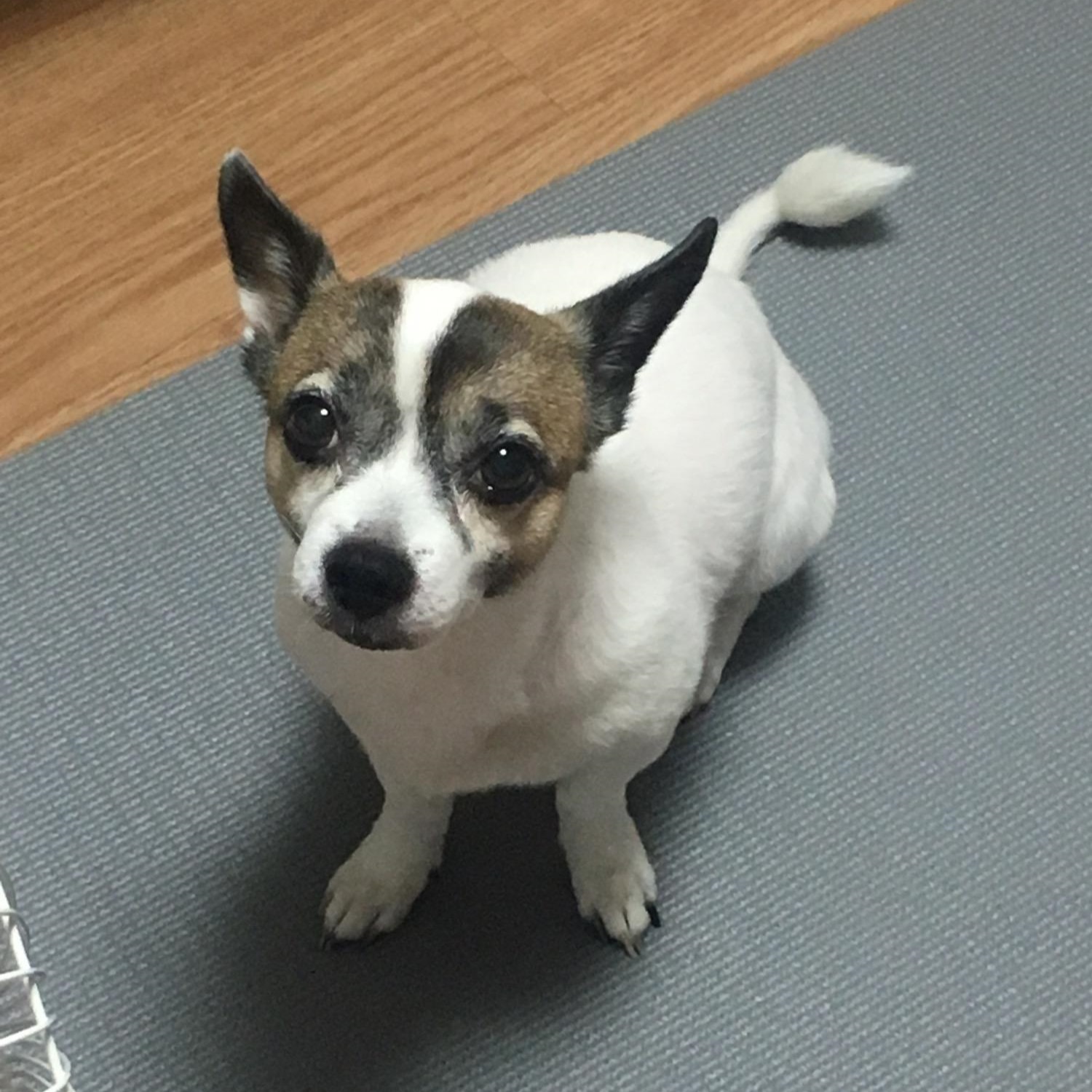 프로필사진