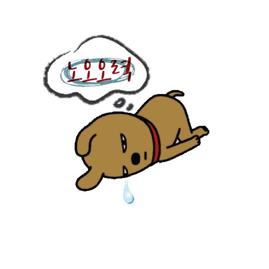 프로필사진