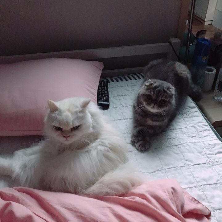 프로필사진