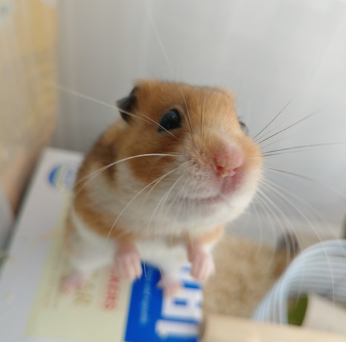 프로필사진