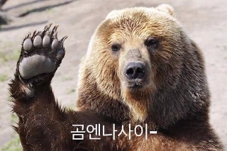 프로필사진