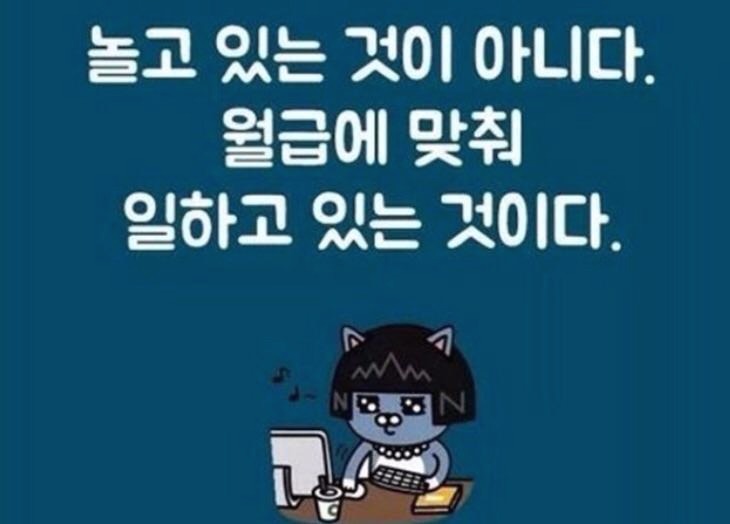 프로필사진