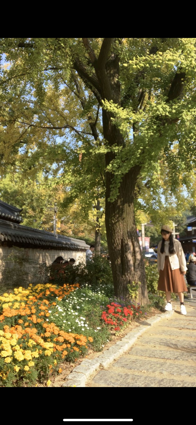 프로필사진