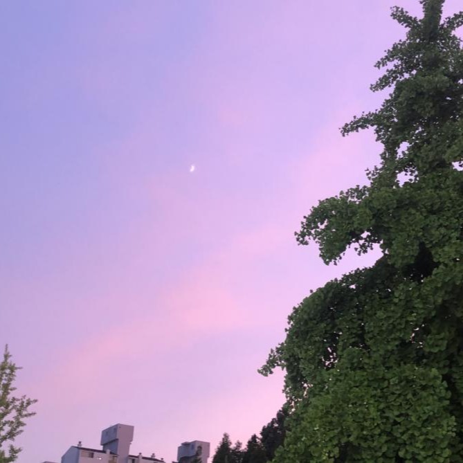 프로필사진