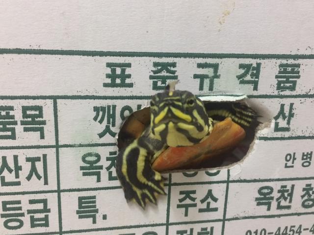 프로필사진