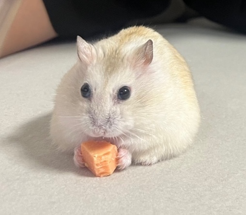 블로그 이미지