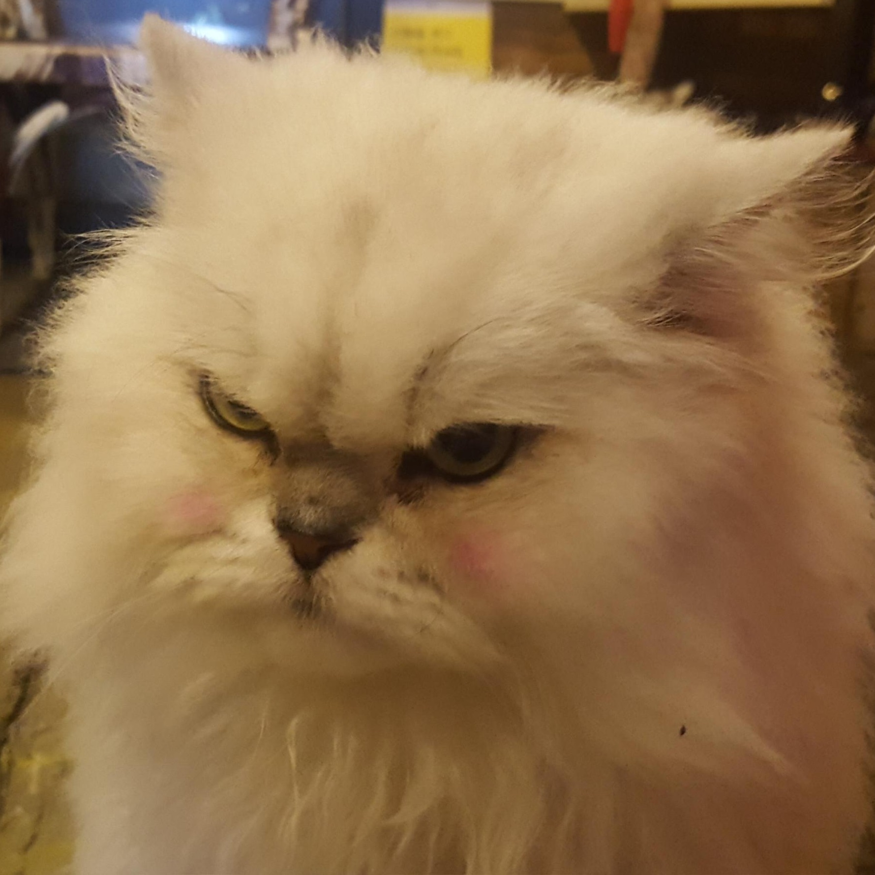프로필사진